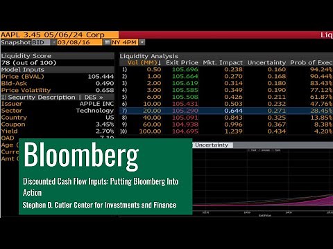 DCF Inputs: Putting Bloomberg into Action
