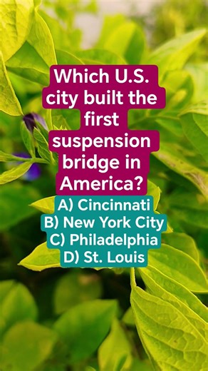 Which U.S. city built the first suspension bridge in America?