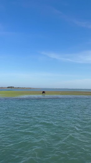 Fascinating Facts About North Carolina | NC Tripping Series