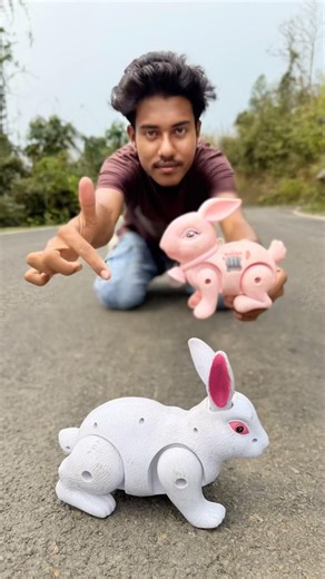 Remote Control Mini Rabbit & Big￼ ￼Rabbit Unboxing