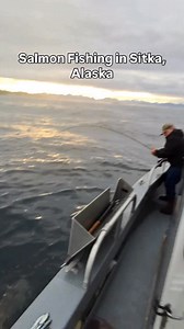 Lingcod and Coho action in Sitka, Alaska 🔥 There’s no shortage of biodiversity in the coastal waters surrounding Sitka. It’s commonplace to encounter 5-10 species in a day, because let’s face it. Anything is willing to eat a herring. 🐟 Check the link in our bio for more info on experiencing the fishing in Sitka, Alaska 📲 #coho #lingcod #outerlimits #sitka #mooching | Outer Limits Charters