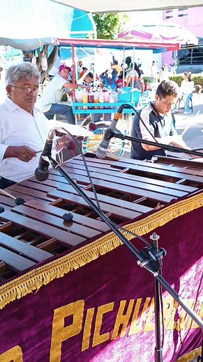 51K views · 733 reactions | 論 Marimba Reina Pichucalqueñas 論 En los Mejores Eventos. #SembradoVida Y #UMEP #ConsumeLocal #SembradoVida #UMEP | Noti Sabor | Facebook