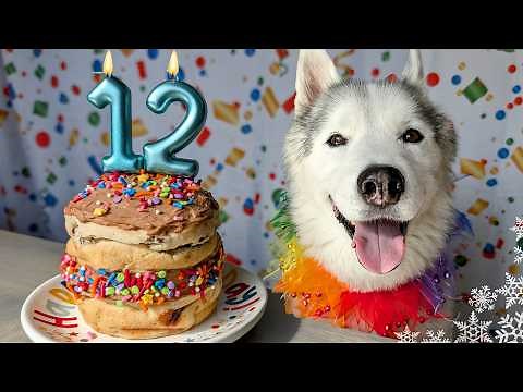 Easy and Tasty Birthday Cake For Dogs 🎂 DIY Dog Treats