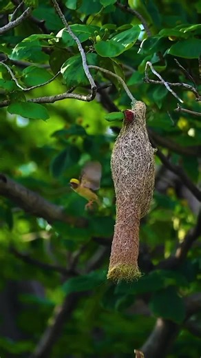 Amazing and Unique Animals to Discover