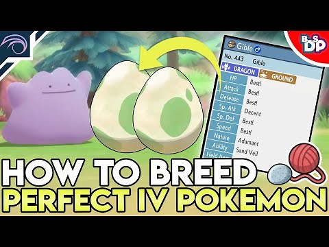 HOW TO BREED PERFECT IV COMPETITIVE POKEMON in Pokemon Brilliant Diamond and Shining Pearl