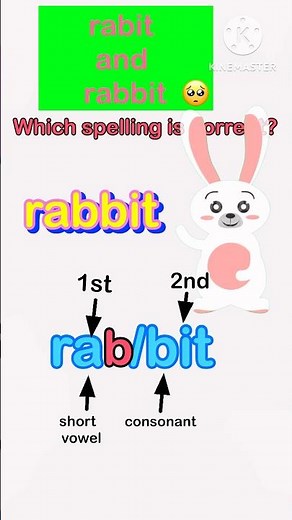 The rabbit rule in phonics // vccv syllable pattern #thelearninghubpampamajumdar #phonics #shorts