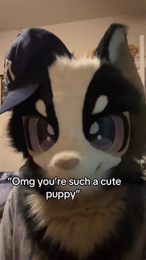 It’s Oreo Kittyy I’m a kitty bro it’s in the name ik he kinda looks like a dog BUT HES A CAT, HE WILL ALWAYS BE A CAT 😡😡😡 #furrytiktok #furry #furrycommunity #furryfandom