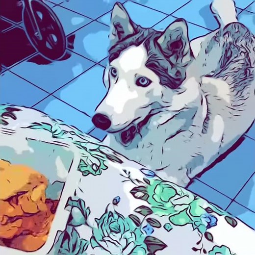 New Clips App on Iphone 7 Plus