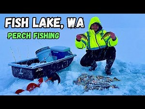 Perch Fishing At Fish Lake, Washington | First Ice Fishing Of 2025 #perch #fishing #pnw #trout #fun