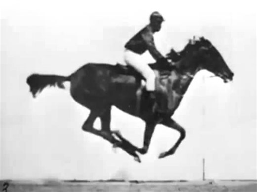 The horse in motion (Eadweard Muybridge) 1878 First Film Ever | Sport in world cinema - SWC