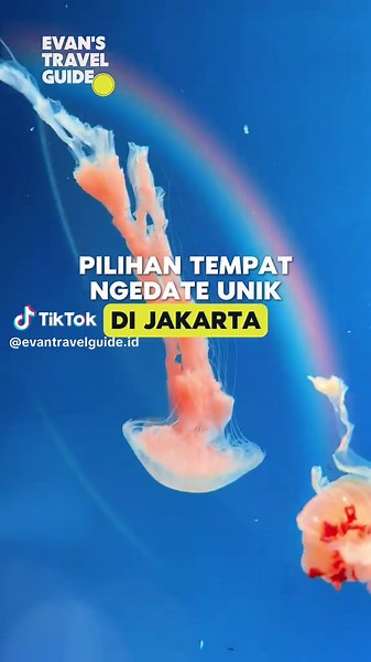 Rekomendasi tempat ngedate di Jakarta? Coba deh ke Jakarta Aquarium Safari. Di sini lo bakal nemuin pengalaman seru yang gak monoton, cocok banget buat quality time bareng pacar, temen, atau keluarga. Dengan tiket premium, lo dapet akses VIP, snack, dan freebies. Biar lebih hemat, langsung beli tiketnya dari TikTok, caranya tinggal klik lokasi di vidio ini dan dapetin diskon 5% pake promo code