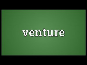 Venture Meaning