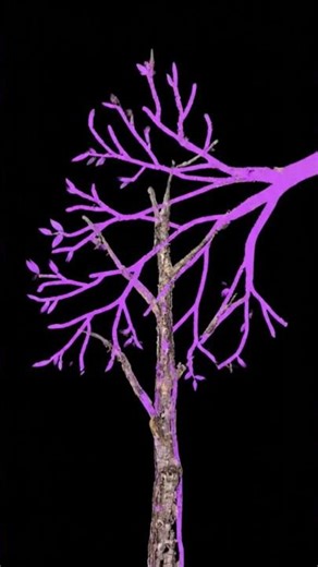 drzewo xd #tree #trees #painting