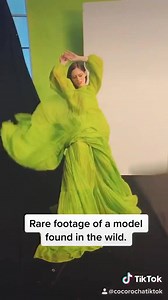 I’ve been on tiktok since January (I’m cocorochatiktok on there) and I have to say, it’s so much fun. Today I officially had my first tiktok reach 1 million views, which is crazzzy considering a great Instagram video might not get a quarter of that and yet I’ve been on IG for like... 37 years? If you tiktok, tell me your favorite accounts to follow below! | Coco Rocha