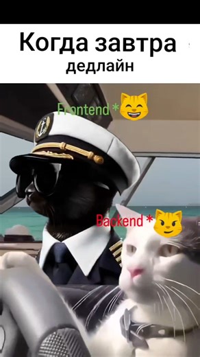 #программирование #разработка #разработчик #программист #мем #memes #юмор #прикол