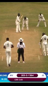 Carlos Brown of Jamaica breaks the partnership with an insane grab! #WIChamps | Windies Cricket