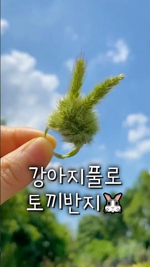 인싸템 등극👀 강아지풀 2개면 끝! 10초 토끼반지 만들기 🌾🐰 #강아지풀토끼반지 #자연놀이 #엄마표놀이 #아이반응보장 #유아놀이추천