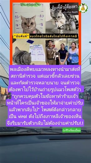 พลเมืองดีเจอแมวส่งตำรวจให้ตามหาเจ้าของ#แมว #แมวน่ารัก #ช่วยเหลือสัตว์ #สัตว์โลกน่ารัก #สัตว์เลี้ยง