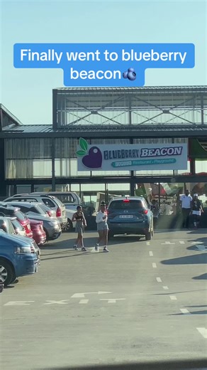 Blueberry Beacon Restaurant Menu Prices and Konka for Kids Experience