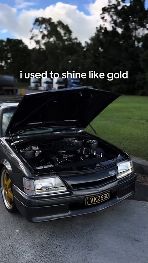 Holden Commodore V8 Performance and Sound Experience