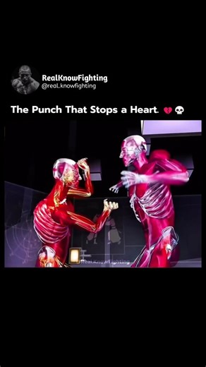@real.knowfighting | Is the legendary "Death Touch" real? Science says yes. 🧬 This animation visualizes one of the most terrifying phenomena in combat sports... | Instagram