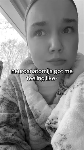 Understanding Neuroanatomy: A Journey Through the Mind