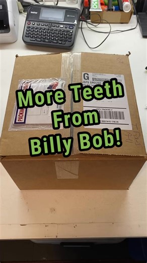 We sell thousands of Taryl (and Junior) teeth. Here’s a shipment we just received from our supplier Billy Bob who’s been making teeth and more since the 90s when we first met them at a fair when Taryl was much younger. Little did we know we’d be selling his products later in life. | Taryl Fixes All
