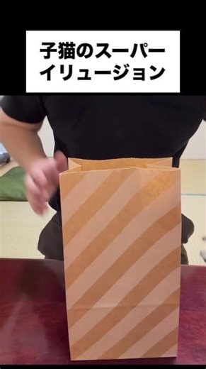 子猫のスーパーイリュージョンショー! Kitty's Super Illusion Show!