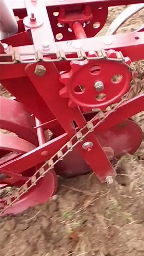 Sunflower Planting Test - Covington TP66 Planter #Dovefield #CovingtonPlanter #SunflowerPlanting