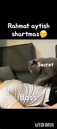 Rahmat shartmas🤭‪@dark_fanfic_master.05‬ ‪@secret-h5f5q‬