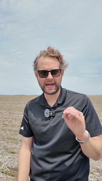 When is the best time to soil test for soybean cyst nematode (SCN)?