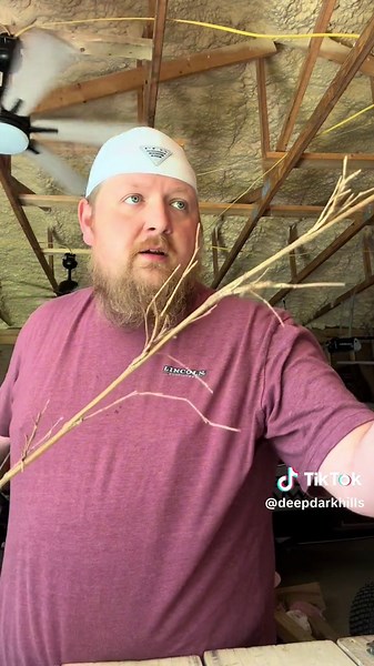 Cane fishing pole (part 1) #canepolefishing #canepole #fishing #bass #crappie #diy