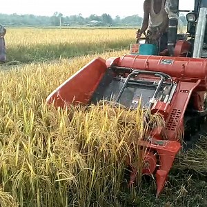 360K views · 2.6K reactions | Mini combine harvester | Daily Post | Facebook