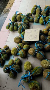 Aram makai buah rian | Channel Kitai