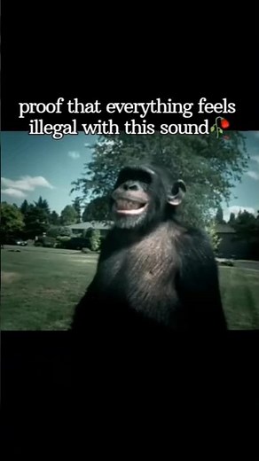 Trunk monkey🥀 #meme