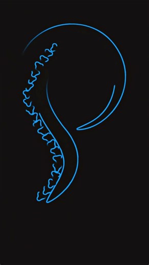 Mid Back & Shoulder Pain Treatment #painflameclinic