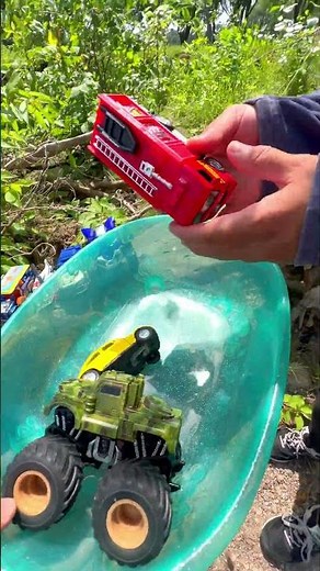 Playful Toy Cars and Large Log Outdoors in Nature
