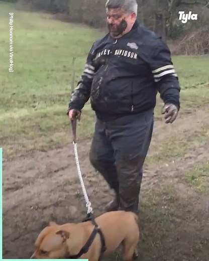 70M views · 367K reactions | Take your dog on a walk they said, it'll be FUN they said 藍 | LADbible Australia | Facebook