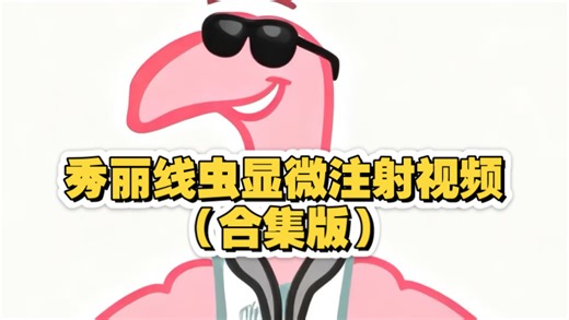 秀丽线虫显微注射视频合集