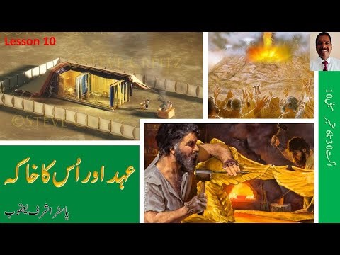 Weekly Bible Study | Discover God’s Word and Power for Your Life