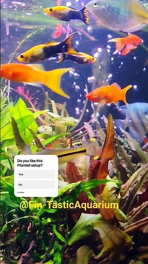 The 3 Aquascape Tricks That Will CHANGE Your Tank Forever!