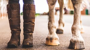 21 pairs of boots that are ready to tackle yard life