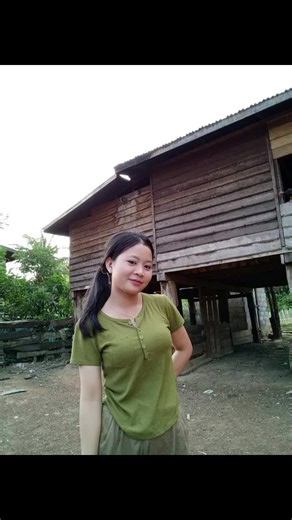 Traditional Wooden House in Rural Laos