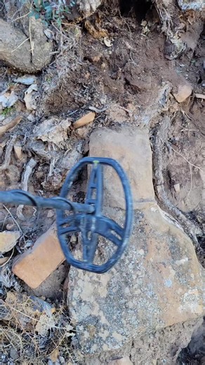 Treasure Hunting Adventures: Discover Hidden Artifacts