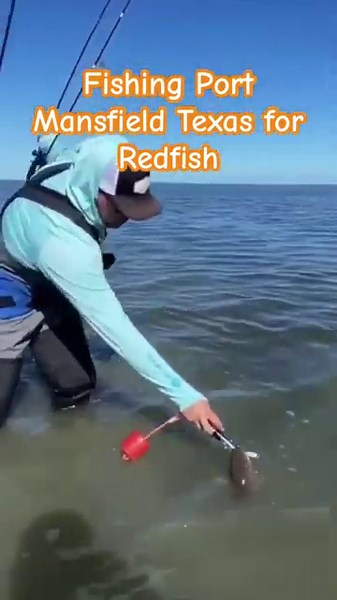Catching Redfish at Port Mansfield Texas ! #redfish #fishing #956Studio