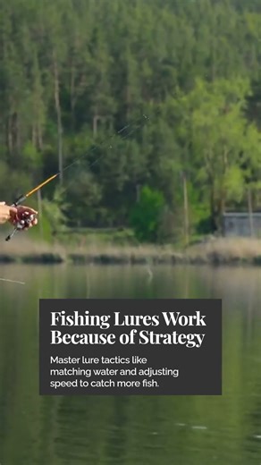 Top Fishing Lures for Every Angler