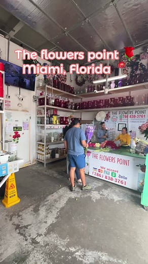 Premium Roses in Miami Florida