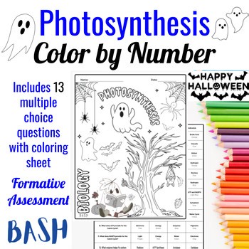 Photosynthesis Halloween Color by Number Activity On Level Biology Science