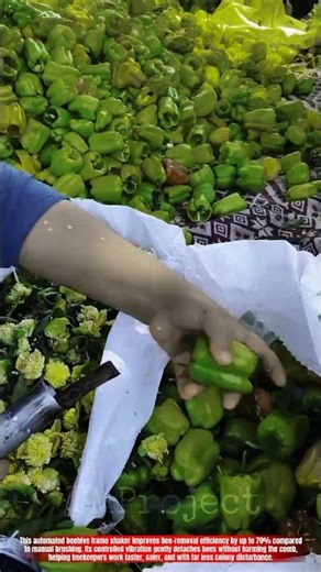 Innovative Pepper Coring Hand Tool System: Best Fast Seed Removal Process