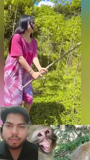 Building Wooden Log Cabin in Forest🌲Survival House Step by Step" GSM2.0 2000🙏🙏1